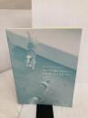 【※カバー無し】きれい色で編んであげたい、犬のポンチョ&セーター―ウチのコに合わせて作れちゃう! 河出書房新社 俵森 朋子