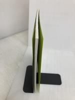 【※カバー無し】きれい色で編んであげたい、犬のポンチョ&セーター―ウチのコに合わせて作れちゃう! 河出書房新社 俵森 朋子