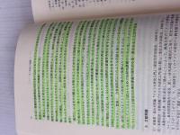 【※書き込み有り】アメリカ研究入門 第3版 東京大学出版会 五十嵐 武士