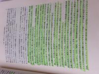 【※書き込み有り】アメリカ研究入門 第3版 東京大学出版会 五十嵐 武士