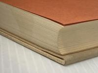 ※イタミ有 弱者を捨てる―アメリカ型福祉観への問い (1978年)