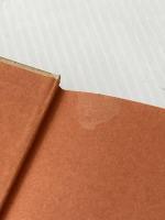 ※イタミ有 弱者を捨てる―アメリカ型福祉観への問い (1978年)