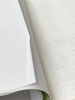 道元さまが教えてくれた　心のコンパス　「正法眼蔵随問記」に学ぶ　１ 曹洞宗宗務庁 晴山俊英