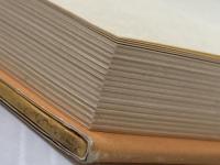 ※イタミ有 人間と動物 人文書院 ピエ-ル・ガスカ-ル