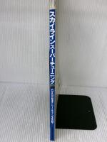 【※イタミ有り】スカイラインスーパーチューニング: R33&R32SKYLINE GT-R/GTS-t SUPER TUNING (SEIBIDO MOOK)