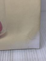 【※イタミ有り】たれづくし: たれぱんだふぁんぶっく kigatsukuto sobaniiru 小学館