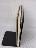 【※イタミ有り】たれづくし: たれぱんだふぁんぶっく kigatsukuto sobaniiru 小学館