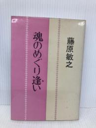 魂のめぐり逢い 日本教文社