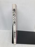 魂のめぐり逢い 日本教文社