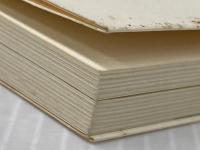 ※イタミ有 テムズとともに －英国の二年間－ (学習院教養新書 7)