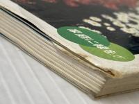 ※イタミ有 小菊懸崖づくり (園芸ハンドブック 31) ひかりのくに 京阪ひらかた園芸