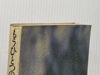 ※イタミ有 もうひとつのガン―最後の五日間,愛と相剋の中で PHP研究所 直原清夫