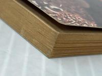 ※イタミ有 般若心経を読む―言語物質論ろ (1982年) (プラネタリー・ブックス〈12〉)