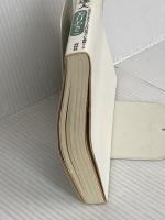 15秒で口説く エレベーターピッチの達人――3%のビジネスエリートだけが知っている瞬殺トーク 祥伝社 美月 あきこ