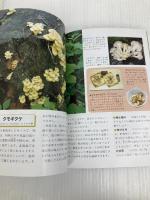 キノコ狩りガイドブック
