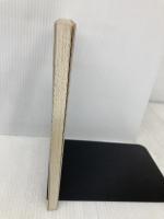 光造形法: レーザによる3次元プロッタ 日刊工業新聞社 丸谷 洋二