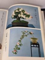 皐月盆栽秘伝―若木・古木からの木づくり (1975年)