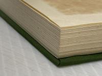 ※イタミ有 名ごりの夢: 蘭医桂川家に生まれて (東洋文庫 9) 平凡社 今泉 みね