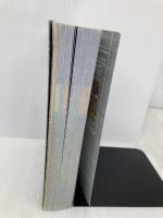 【※付録欠品】スーパーマリオギャラクシー ザ・コンプリートガイド メディアワークス デンゲキニンテンドーDS編集部