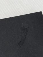 ※イタミ有 黒沢明の世界(1969) 三一書房 佐藤忠男