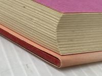 しんこ細工の猿や雉 (1984年) 文藝春秋 田辺 聖子