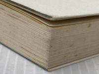 ※イタミ有 定本・薔薇は生きている 創樹社 山川 弥千枝