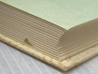 開目抄〈上〉―少年版日蓮大聖人御書 (1982年) (聖教少年文庫)