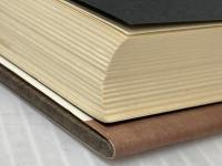 悪夢巡礼 (1981年) 集英社 藤本 義一