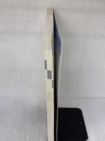 2013秋AI・DD総合種実戦問題 (工事担任者実戦問題) リックテレコム 電気通信工事担任者の会