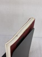 【※カバー無し】幸せになる法則を発見した人丸山敏雄伝 近代出版社 丸山 敏秋