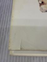 【※イタミ有り】マツタケ――不確定な時代を生きる術 みすず書房 アナ・チン