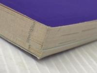 ※カバー無し 英文法・語法ターゲット555 (大学JUKEN新書) 旺文社 三浦 淳一