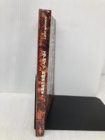 【※イタミ有】エアガイツ対戦派の攻略本 デジキューブ