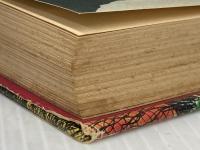 ※イタミ有 ごみすて場の原始人 (1980年) (旺文社創作児童文学)  C.キング