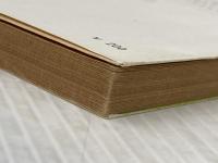 ※イタミ有 美っつい庵主さん (新潮文庫 あ 5-10) 新潮社 有吉 佐和子