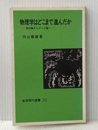 物理学はどこまで進んだか―相対論からゲージ論へ (岩波現代選書) 岩波書店 内山龍雄