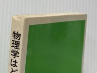 物理学はどこまで進んだか―相対論からゲージ論へ (岩波現代選書) 岩波書店 内山龍雄
