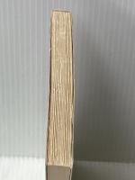 物理学はどこまで進んだか―相対論からゲージ論へ (岩波現代選書) 岩波書店 内山龍雄