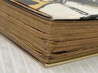 ※イタミ有 全学連 (FOR BEGINNERSシリーズ イラスト版オリジナル 12) 現代書館 菅 孝行