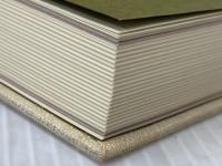 如是多聞 (1982年)