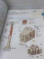 【※書き込み有り】読んでわかる解剖生理学: テキスト 医学教育出版社 竹内 修二