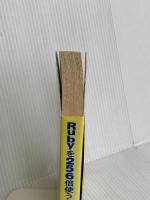 Rubyを256倍使うための本 魔道編 アスキー るびきち