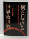何をしている世界救世教―教祖の御教えの原点に還れ! 恒友出版 松本明重