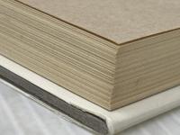 火の柱 (1980年)  レイ・ブラッドベリ