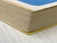 アグネス白書―青春コメディ (集英社文庫―コバルトシリーズ 52F) 集英社 氷室 冴子