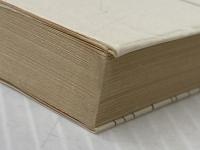 ポートノイの不満 (1978年) (集英社文庫)  フィリップ・ロス