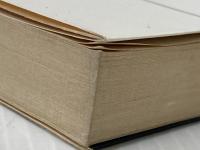 動脈列島 (集英社文庫 33-G) 集英社 清水 一行