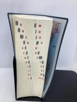 【※箱無し・カバー無し】ジーニアス英和辞典　第6版 大修館書店 南出康世