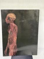 人体の不思議 (人体の不思議展)