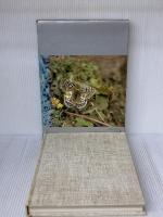 ヒマラヤ チョウと花の旅 信濃毎日新聞社 堀 勝彦